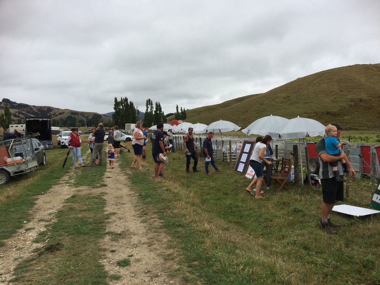Children engaged in storytelling and conversation