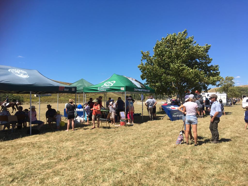 Children exploring play equipment and activities